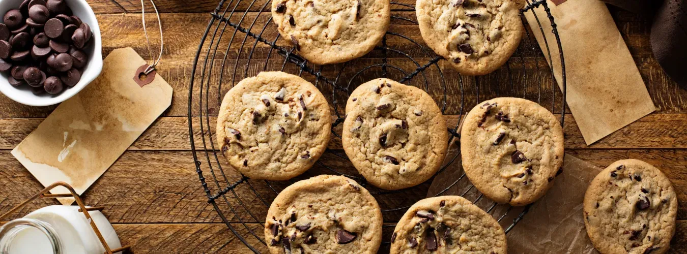 chewy-chocolate-chip-cookies